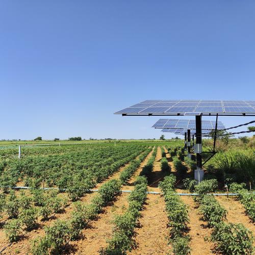 Solar drip irrigation solution for farm and plant