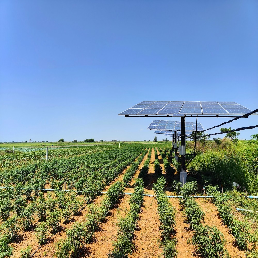 Solar drip irrigation solution for farm and plant